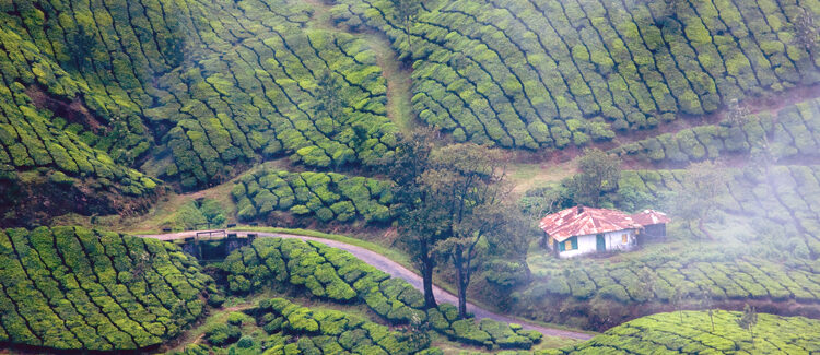 Munnar